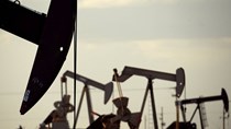 Giá dầu tăng mạnh nhờ tín hiệu bắt tay giữa Nga và OPEC
