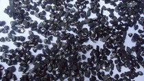 Triều Tiên vượt Việt Nam về xuất khẩu than cho Trung Quốc