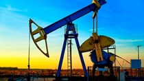 Giá dầu Mỹ lại về dưới 50 USD/thùng
