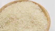 Tổng hợp tin thị trường gạo ngày 27/10