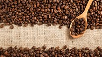 Thị phần cà phê robusta có thể sẽ vượt arabica vào năm 2030