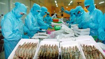 Xuất khẩu thủy sản của Việt Nam sang Úc giảm