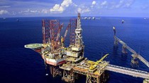 Liên doanh dầu khí Việt- Nga chậm nộp thuế 2.000 tỷ đồng