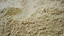 Sản lượng bột cá, dầu cá năm 2016 sẽ ổn định