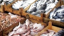USDA lo ngại về số lượng lô hàng thủy sản bị từ chối nhập khẩu