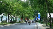 VBPL: Kế hoạch hành động ứng phó với biến đổi khí hậu và tăng trưởng xanh