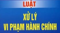 VBPL: Xử phạt vi phạm hành chính trong lĩnh vực kế hoạch và đầu tư