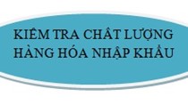VBPL: Thủ tục kiểm tra chất lượng hàng hóa nhập khẩu vào Việt Nam