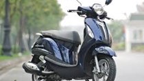 Đã triệu hồi hơn 77.000 xe Yamaha Nozza Grande