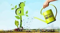Quyết định số 547/QĐ-TTg