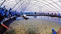 Quyết định số 1434/2017/QĐ-TTg