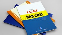 Nghị định số 113/2017/NĐ-CP