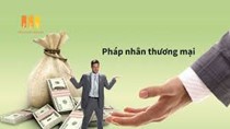Nghị định số 115/2017/NĐ-CP
