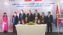 Diễn đàn doanh nghiệp Việt Nam - Slovakia