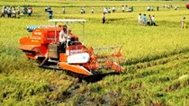 Quyết định số 1819/2017/QĐ-KTNN 