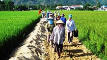 Thông tư số 07/2017/TT-BKHĐT