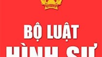 Chỉ thị số 02/CT-TTg