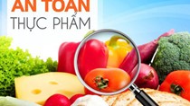 Nghị quyết số 19/NQ-CP 