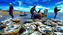 Chỉ thị số 09/CT-TTg