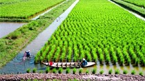 Quyết định số 387/QĐ-TTg