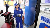 Giá xăng tiếp tục được giữ ổn định