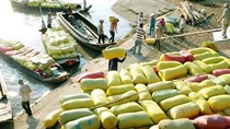 Nghị định số 107/2018/NĐ-CP
