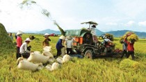 Nghị định số 116/2018/NĐ-CP 