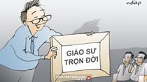 Quyết định số 37/2018/QĐ-TTg