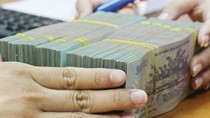 Nghị định số 131/2018/NĐ-CP