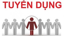 Nghị định số 161/2018/NĐ-CP về tuyển dụng CC, VC, nâng ngạch CC, thăng hạng VC