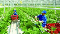 Hướng dẫn thực hiện NĐ của CP về chính sách khuyến khích DN đầu tư vào nông nghiệp