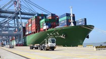 Biểu khung giá dịch vụ hoa tiêu, bốc dỡ container và lai dắt tại cảng biển Việt Nam