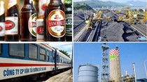 Triển khai Chỉ thị 01/CT-TTg của TTCP về cổ phần hóa và thoái vốn nhà nước