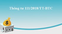 BTC hướng dẫn thanh toán công nợ của Chính phủ tại Thị trường trong nước