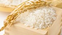 Xuất khẩu gạo trong tháng 2/2019 sang Ba Lan tăng đột biến cả về lượng và trị giá