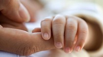 Nghị định của Chính phủ về Luật Nuôi con nuôi