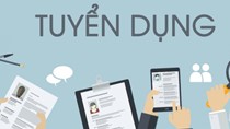 Sai phạm trong tuyển dụng công chức 2019 sẽ bị xử lý nghiêm