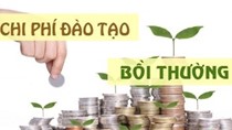 Quyết định của BTC về quy chế đào tạo, bồi dưỡng công chức, viên chức ngành Tài chính