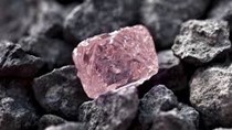 Kim ngạch XK Quặng và khoáng sản khác sang New Zealand T4/2019 giảm 95,19%