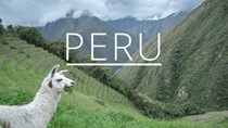 Cơ hội xuất khẩu của doanh nghiệp Việt Nam vào Peru rất lớn 