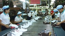Giày dép các loại chiếm thị phần lớn trong tổng kim ngạch xuất khẩu hàng hóa sang Bỉ
