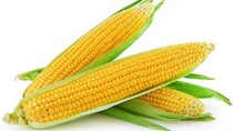 Hàng hóa nhập khẩu từ Brazil vào Việt Nam 8 tháng đầu năm 2019 tăng mạnh