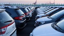 Nhập khẩu ô tô nguyên chiếc các loại từ Nhật Bản tăng mạnh cả lượng và trị giá