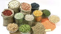 Nhập khẩu bánh kẹo và các sản phẩm từ ngũ cốc của Hà Lan có kim ngạch tăng trưởng khá