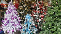 Cận Giáng sinh, cây thông Noel khổng lồ “hét” giá 120 triệu đồng