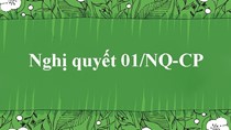 6 trọng tâm chỉ đạo điều hành của Nghị quyết 01/NQ-CP