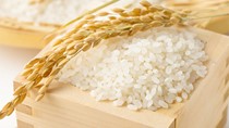 Philippines - Thị trường nhiều tiềm năng cho xuất khẩu hàng hóa của Việt Nam