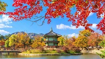 Hàn Quốc – Thị trường nhập khẩu hàng hóa lớn thứ 2 của Việt Nam