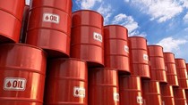 Việt Nam đẩy mạnh xuất khẩu dầu thô sang thị trường Nhật Bản tháng đầu năm 2020