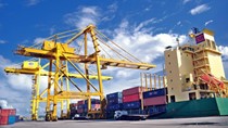 Tháng 1/2020, kim ngạch nhập khẩu sắt thép từ Ấn Độ tăng trưởng mạnh